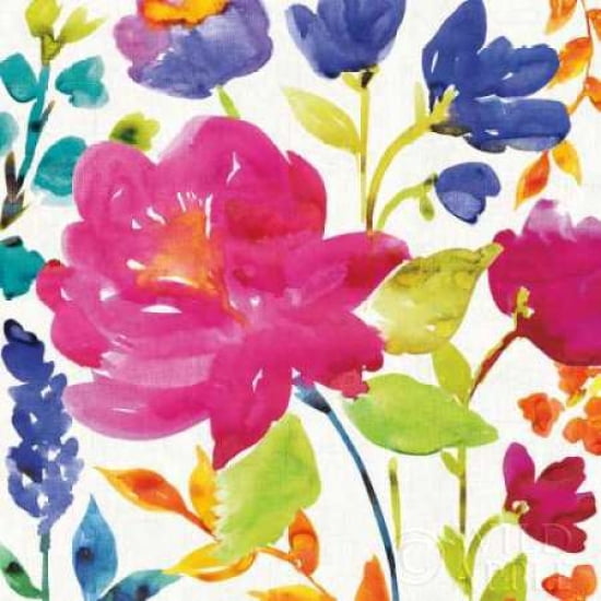 Posterazzi Floral Medley II Canvas Art - Wild Apple Portfolio (24 x 24)