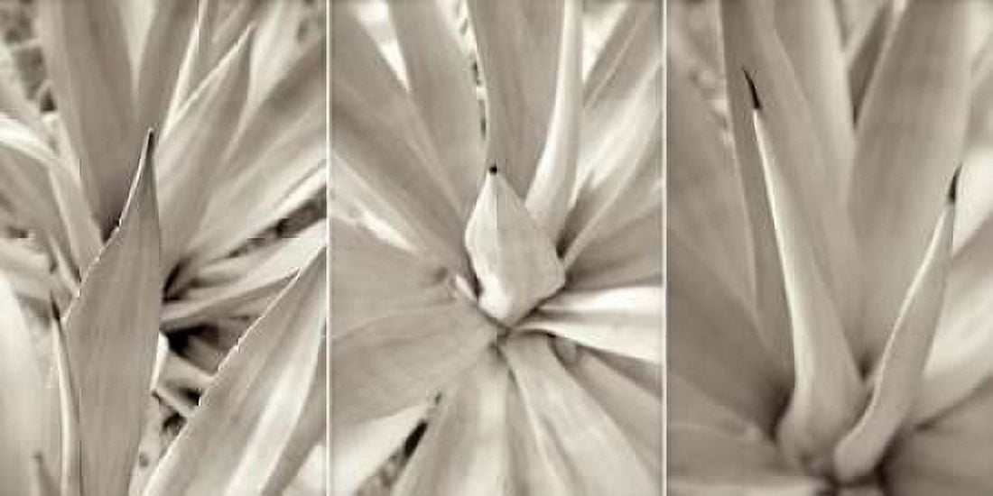 Posterazzi Floral Panel - 4 Canvas Art - Alan Blaustein (24 x 48)