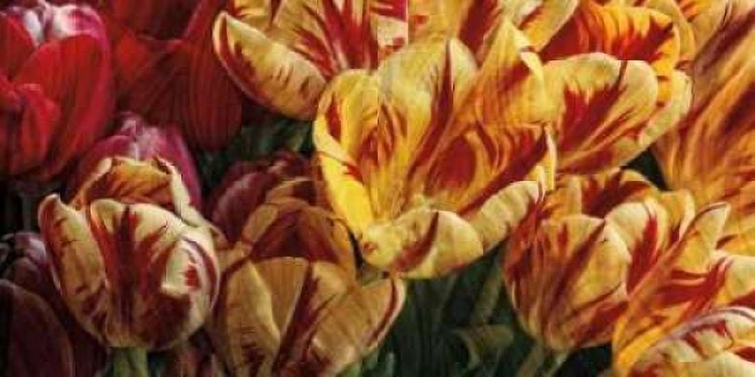 Posterazzi Floral Tapestry Canvas Art - Janel Pahl (24 x 48)