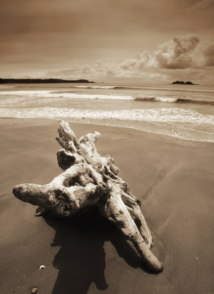 Posterazzi Florencia Bay Pacific Rim National Park Vancouver Island British Columbia Canada Canvas Art - Darwin Wiggett Design Pics (24 x 32)