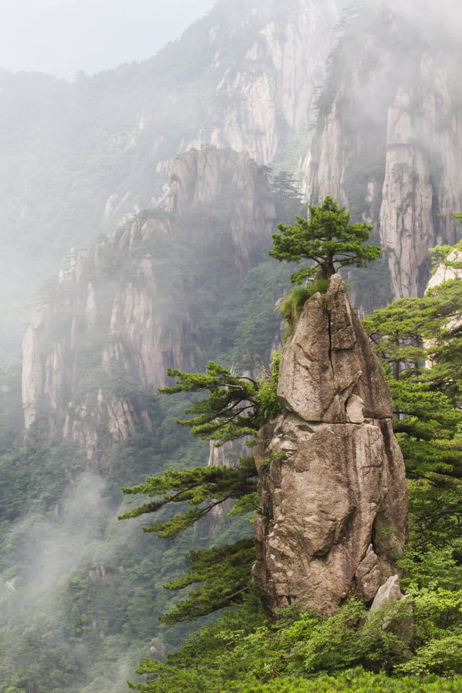 Posterazzi A Flower Blooming on a Brush Tip formation in the North Sea Scenic area Mount Huangshan Anhui China Canvas Art - Peter Langer Design Pics (24 x 38)