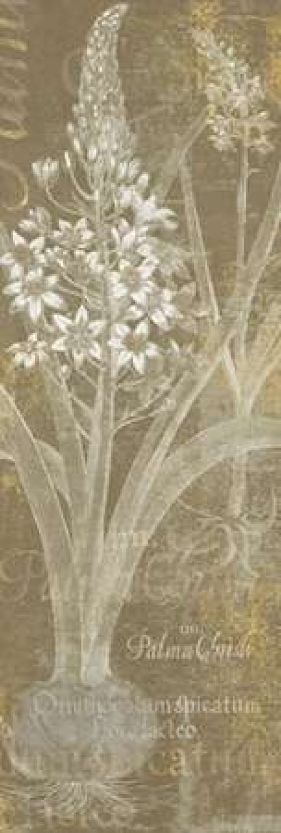 Posterazzi Flower Lines II Canvas Art - Sue Schlabach (12 x 36)