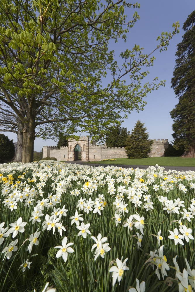Posterazzi Flowers And The Entrance Gate To Ford Castle Ford Northumberland England Canvas Art - John Short Design Pics (24 x 38)