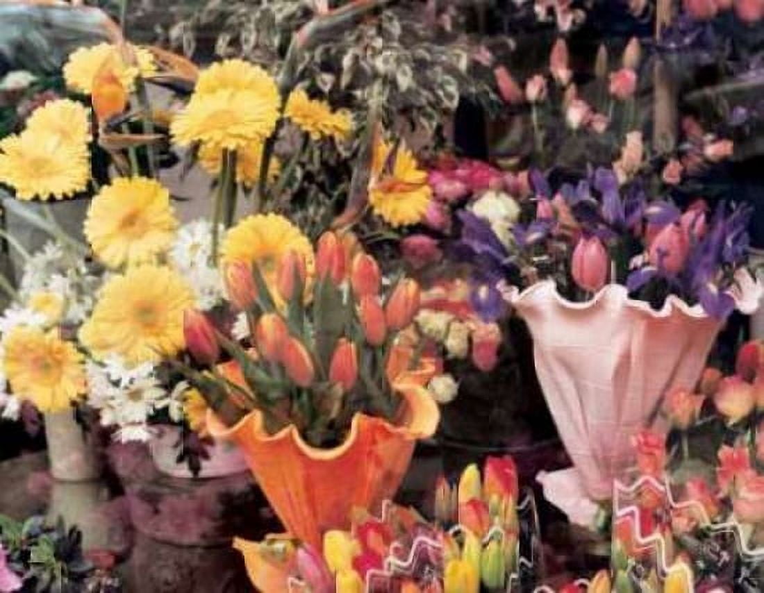 Posterazzi Flowers Florence Canvas Art - Zeny Cieslikowski (22 x 28)