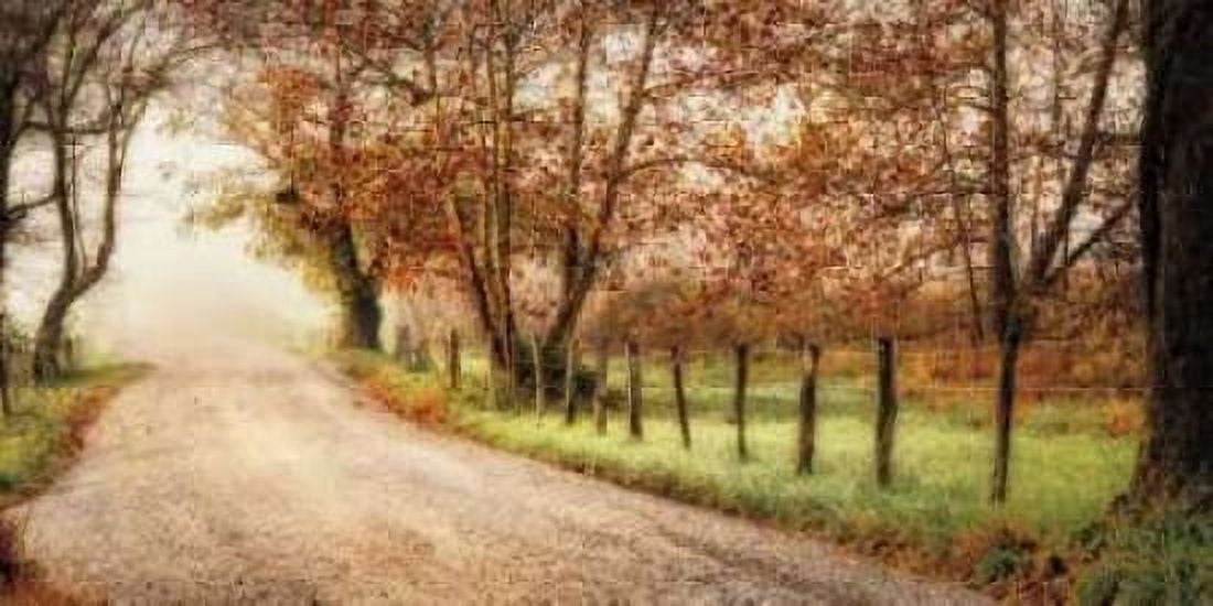 Posterazzi Fog Ahead Canvas Art - D Burt (24 x 48)