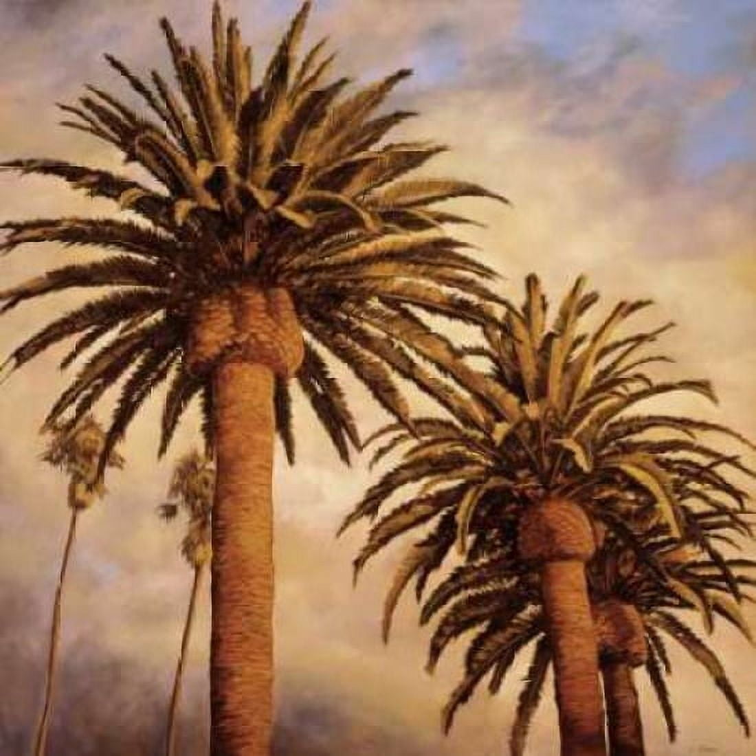 Posterazzi Fog Over Canary Palms Canvas Art - Rick Garcia (24 x 24)