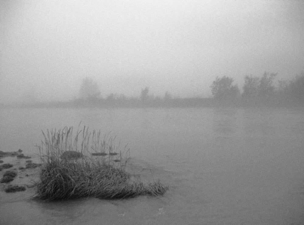 Posterazzi Fog Over Taiya River Near Dyea Alaska Se Summer B&W Canvas Art - Gina Bringman Design Pics (32 x 24)