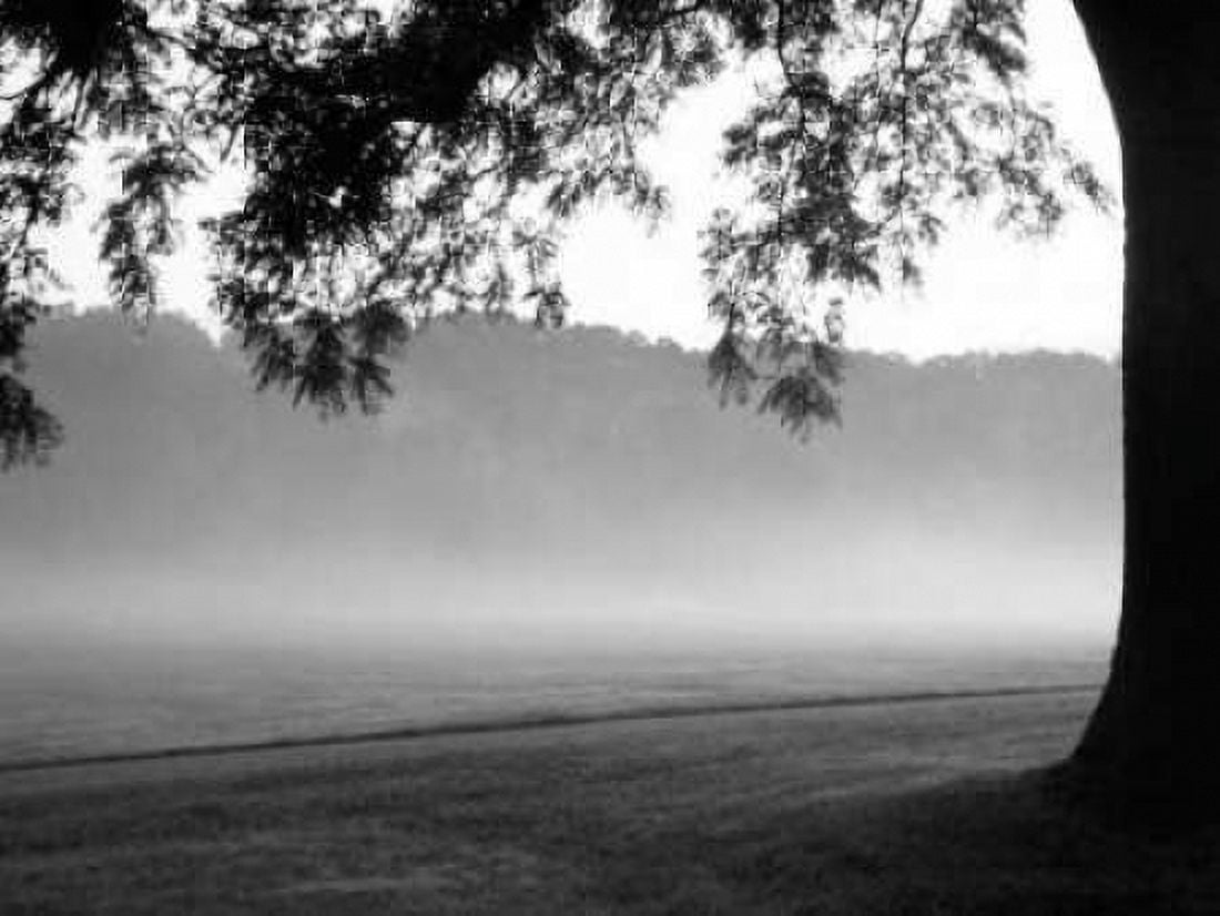 Posterazzi Fog in the Park I Canvas Art - Gary Bydlo (18 x 24)