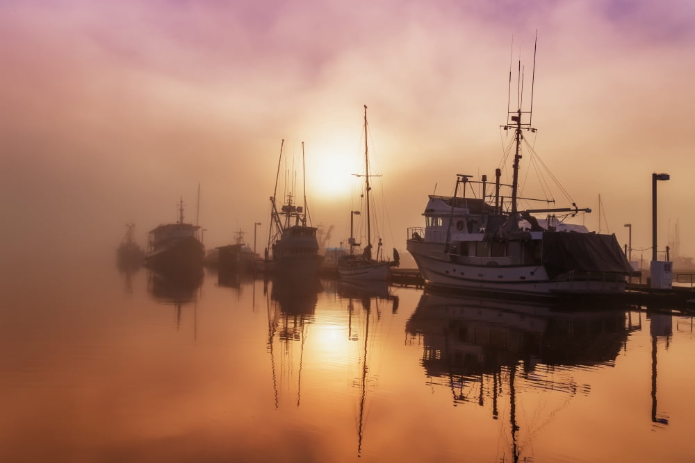 Posterazzi Fog lifting over Auke Bay Harbor Juneau Southeast Alaska Canvas Art - John Hyde Design Pics (38 x 24)