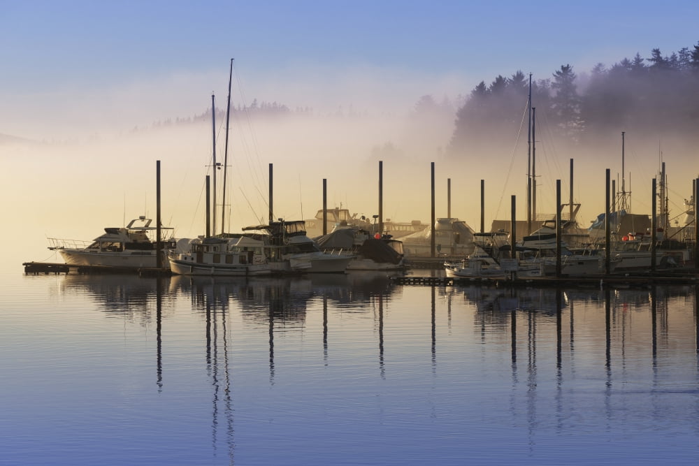 Posterazzi Fog lifting over Auke Bay Harbor Juneau Southeast Alaska Canvas Art - John Hyde  Design Pics (38 x 24)