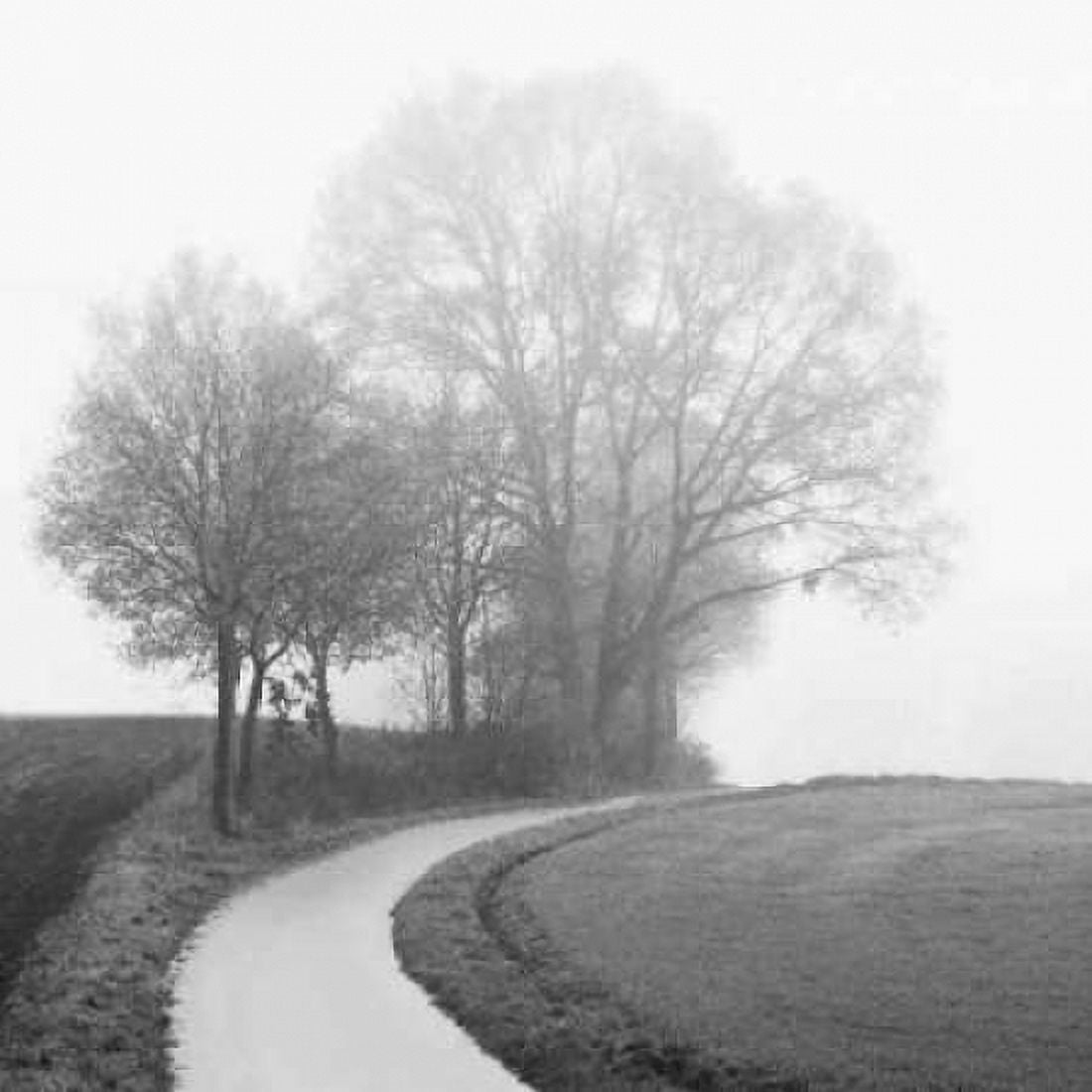 Posterazzi Foggy Afternoon Canvas Art - Ily Szilagyi (24 x 24)
