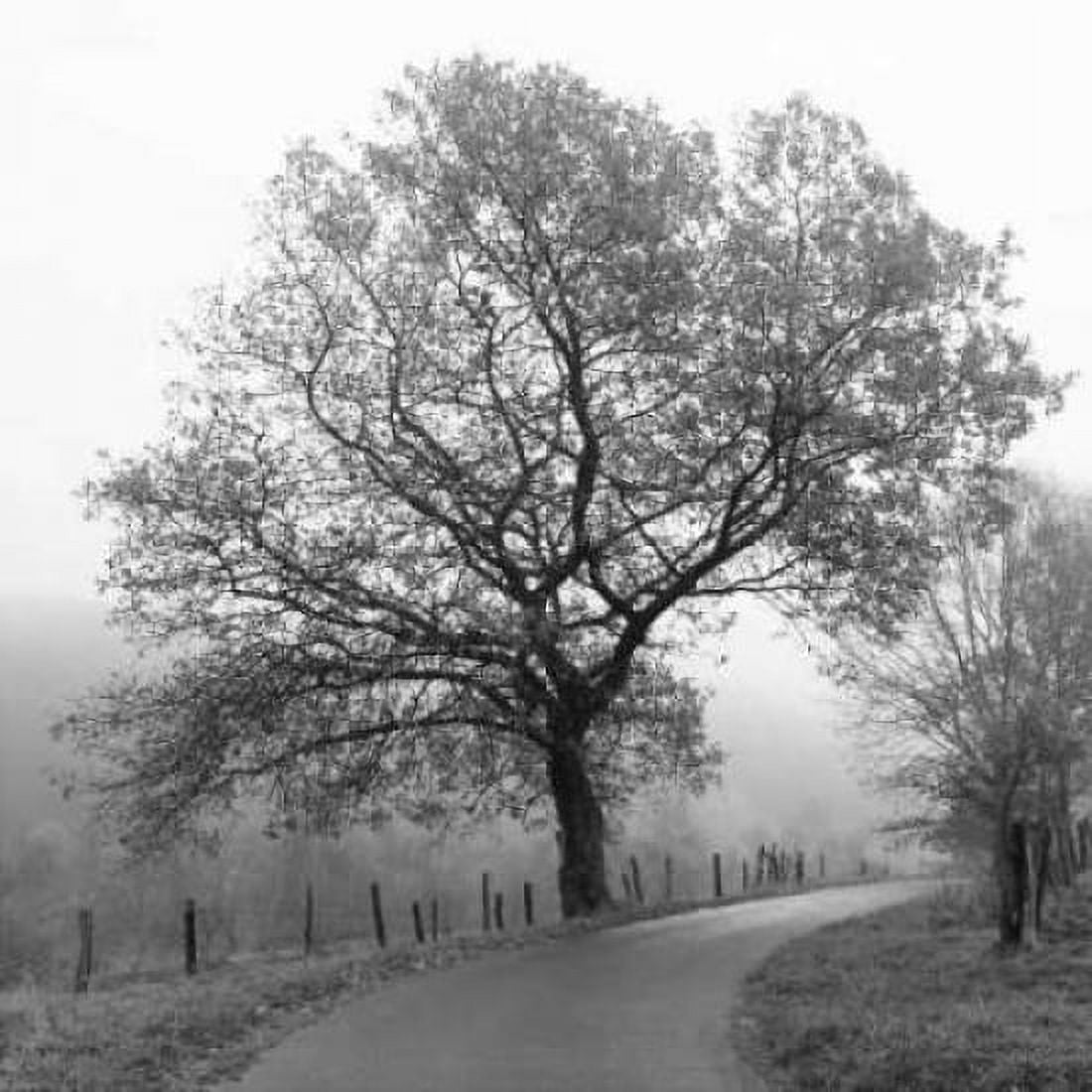 Posterazzi Foggy Afternoon Canvas Art - Ily Szilagyi (24 x 24)