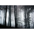 thumbnail image 1 of Posterazzi DPI1812030 Foggy Woods - Ireland Poster Print by The Irish Image Collection, 18 x 12, 1 of 3