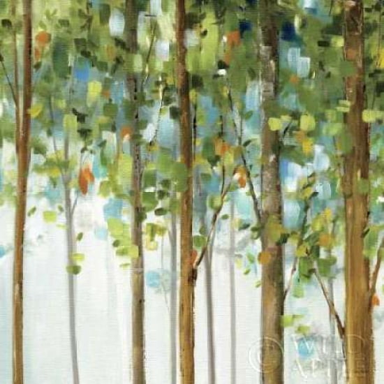 Posterazzi Forest Study III Canvas Art - Lisa Audit (24 x 24)