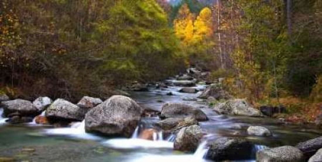 Posterazzi Forest and river 802 Canvas Art - JA Palacios (24 x 48)