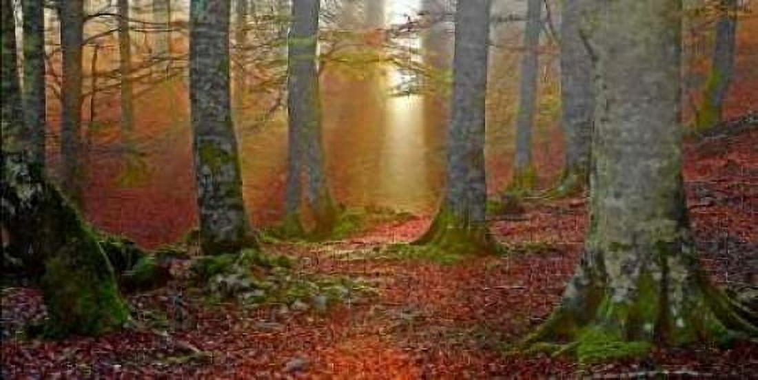 Posterazzi Forest and sunbeam 820 Canvas Art - JA Palacios (24 x 48)