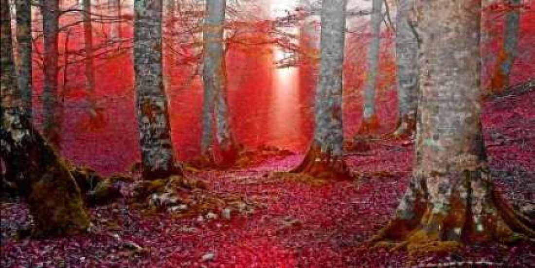 Posterazzi Forest and sunbeam 821 Canvas Art - JA Palacios (24 x 48)