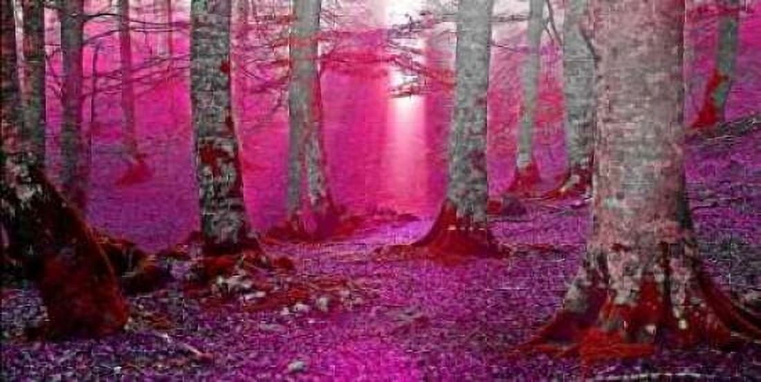 Posterazzi Forest and sunbeam 822 Canvas Art - JA Palacios (24 x 48)