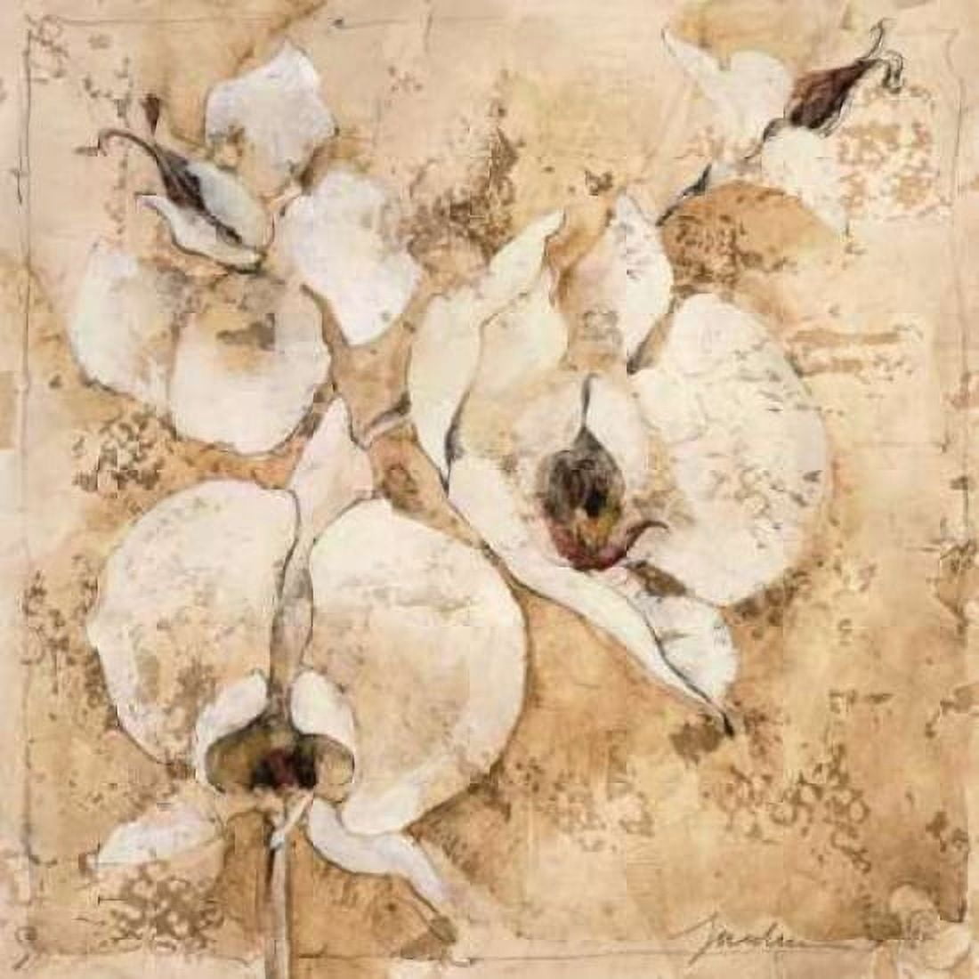 Posterazzi Fragrant Snow I Canvas Art - Liz Jardine (24 x 24)