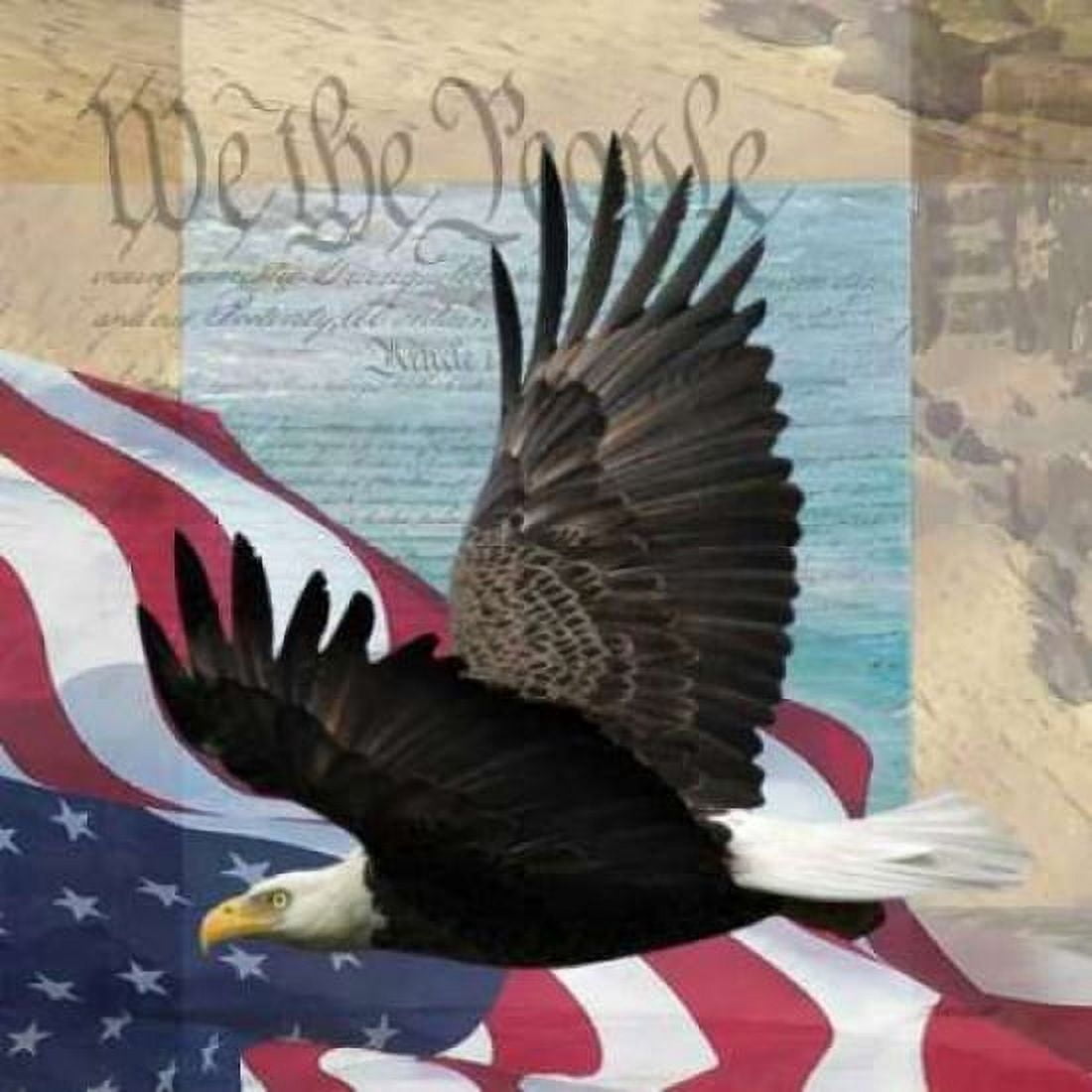 Posterazzi Freedom II Canvas Art - Todd Williams (24 x 24)