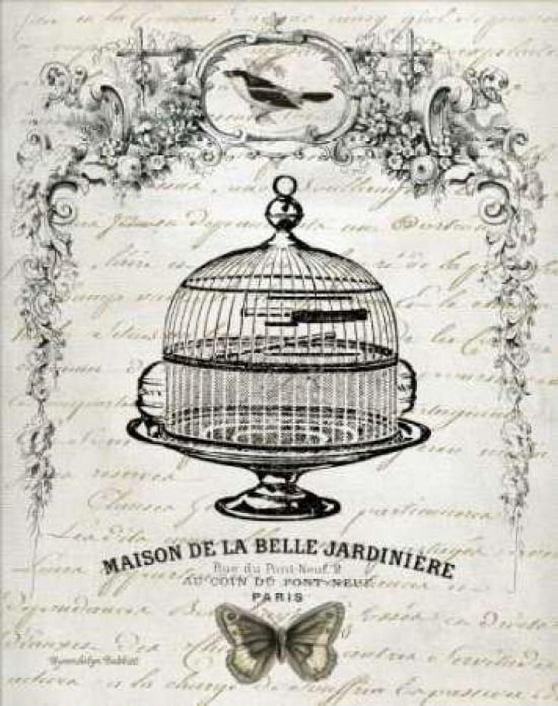 Posterazzi French Birdcage I Canvas Art - Gwendolyn Babbit (22 x 28)