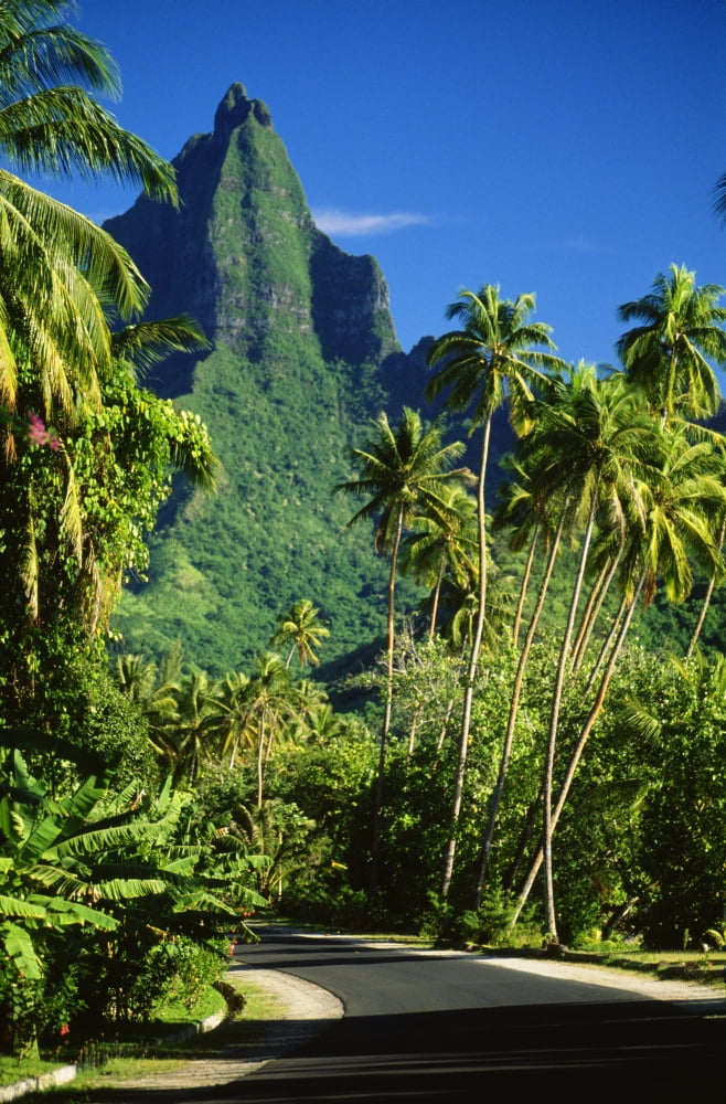 Posterazzi French Polynesia Moorea Road To Mount Rotui Tropical Green Surroundings Canvas Art - Ron Dahlquist Design Pics (24 x 38)
