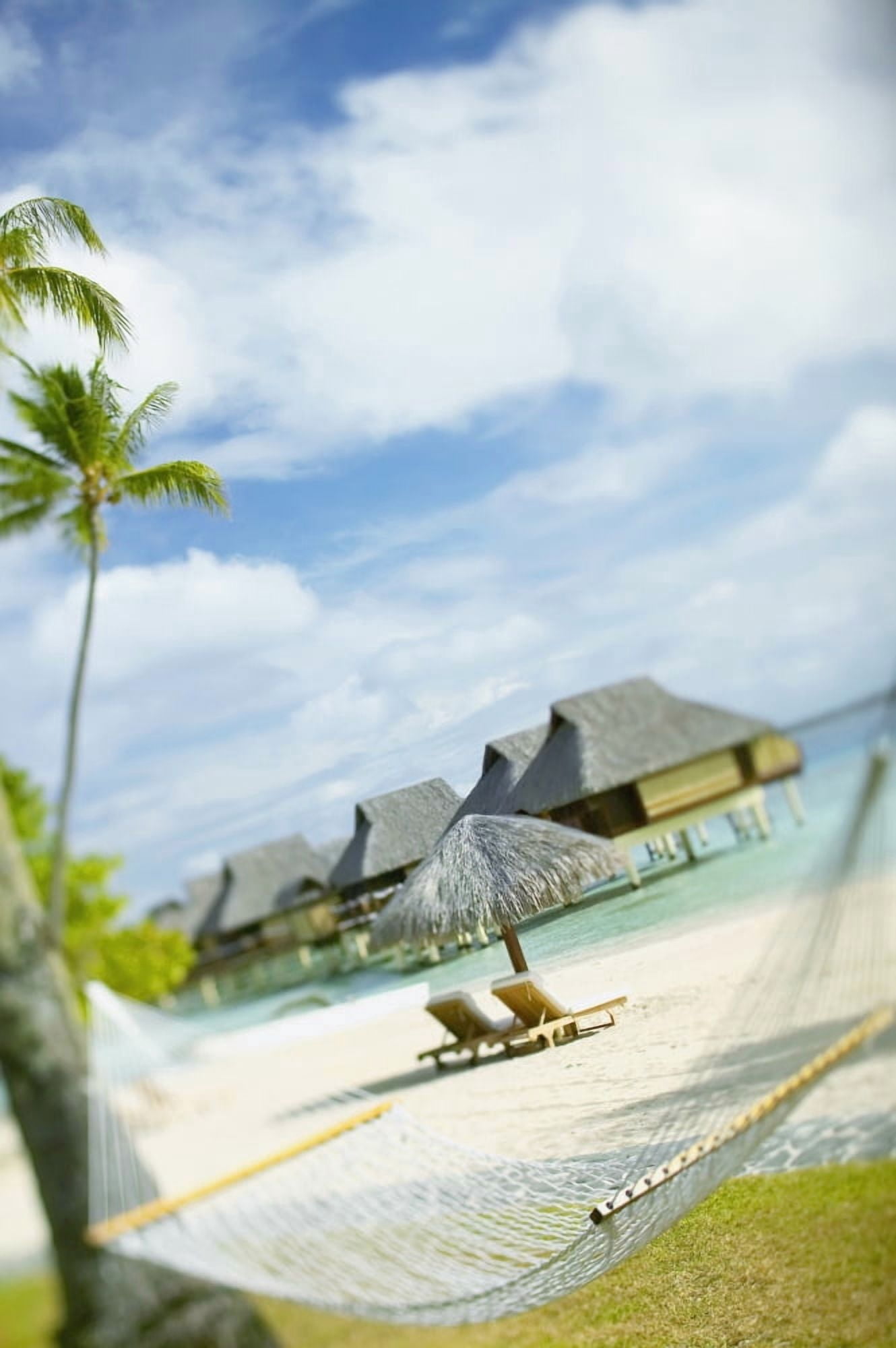 Posterazzi French Polynesia Tahiti Bora Bora Hammock In Foreground Of Lounge Chairs And Thatch Umbrella On Beach With Tranquil Ocean And Bungalows Canvas Art - Kyle Rothenborg  Design Pics (24 x 38)