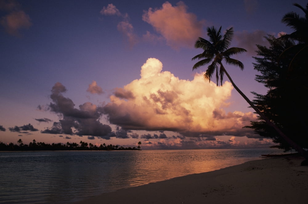 Posterazzi French Polynesia Tetiaroa (Marlon Brandos Island) Beautiful Beach With Palm Tree At Sunset Canvas Art - Larry Dale Gordon Design Pics (34 x 22)