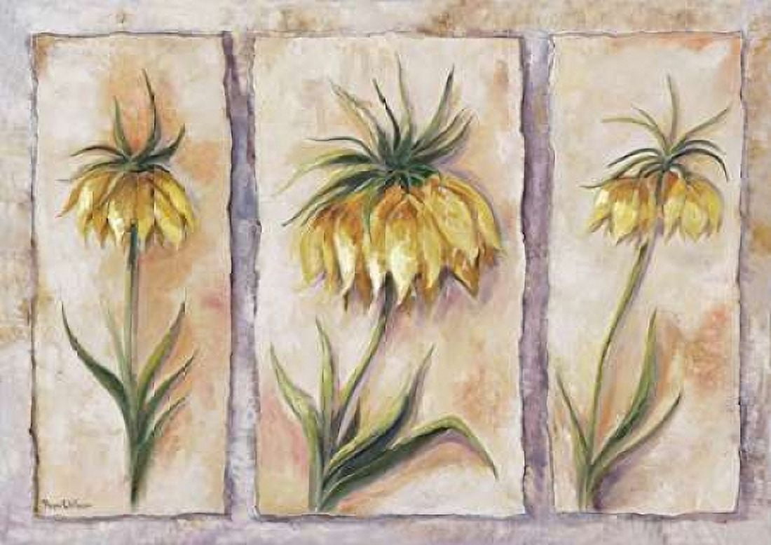 Posterazzi Fritillaria Imperialis Canvas Art - Rian Withaar (20 x 28)