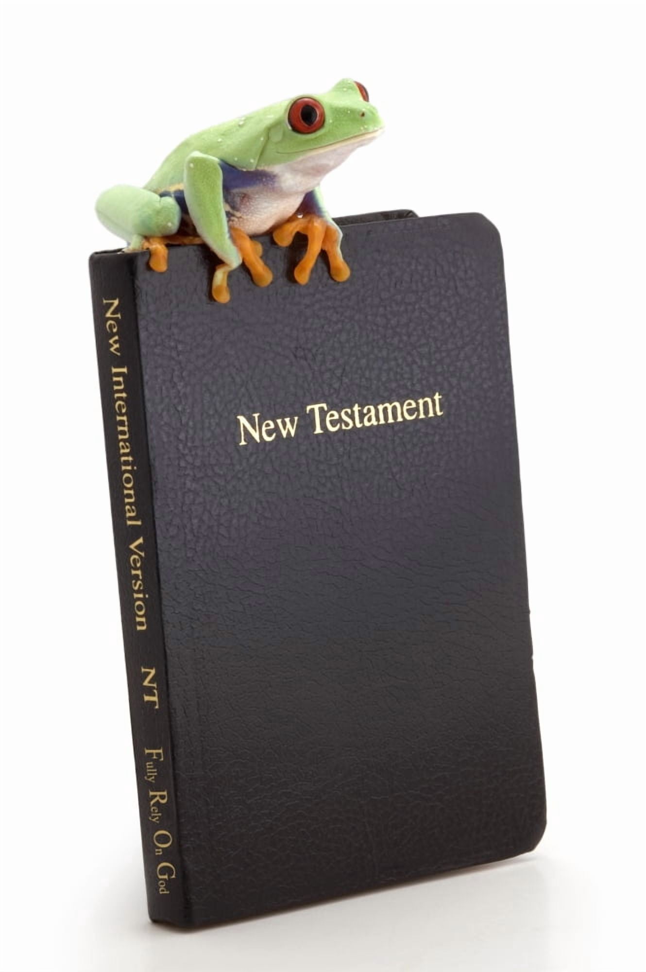 Posterazzi Frog Sitting On A Bible Canvas Art - Corey Hochachka Design Pics (22 x 34)