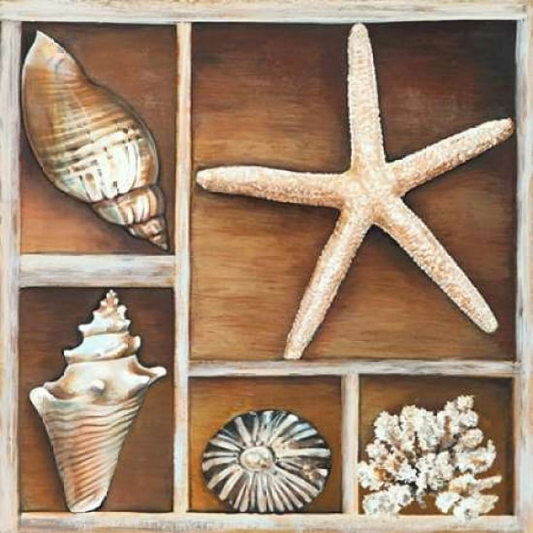 Posterazzi From the Ocean II Canvas Art - Ted Broome (24 x 24)