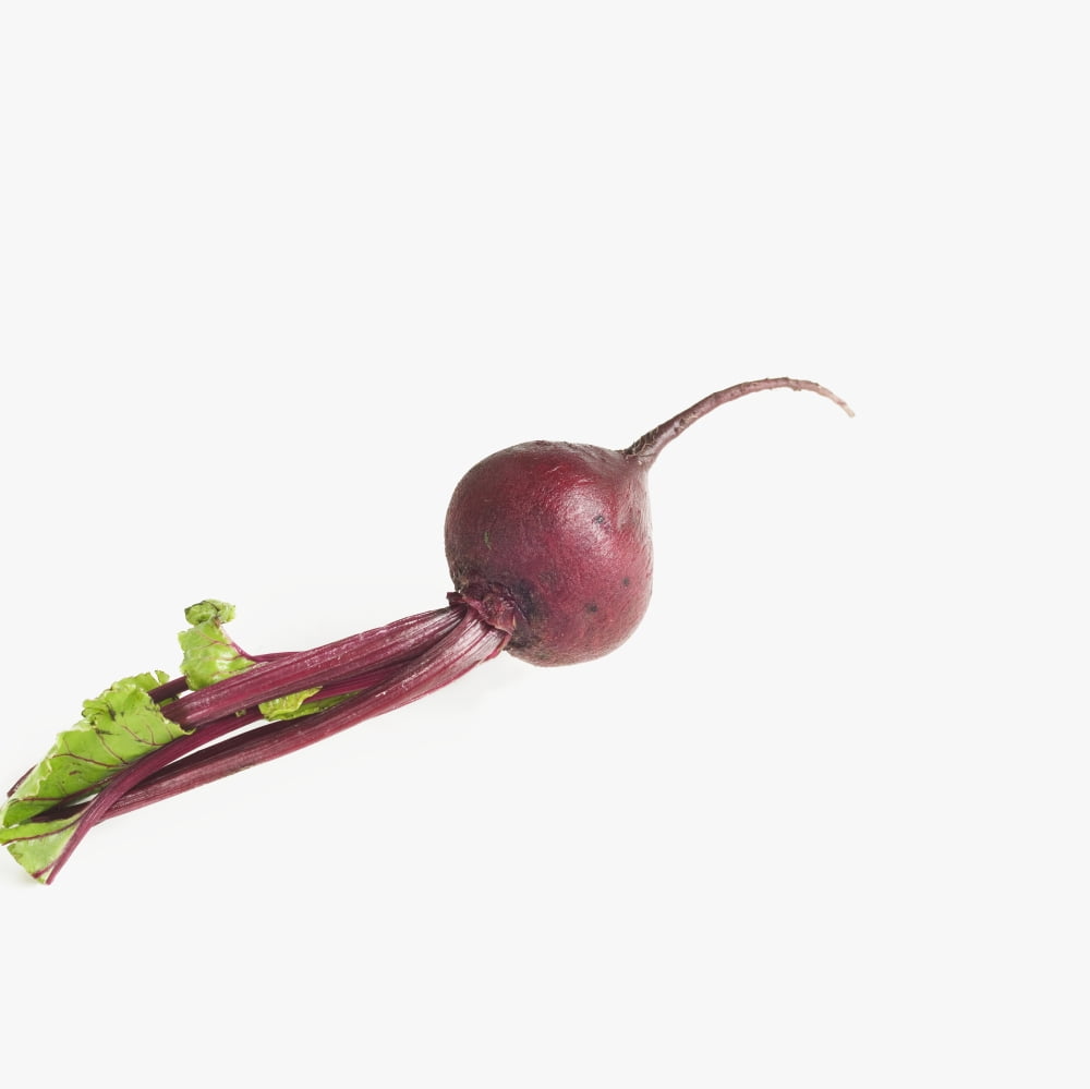 Posterazzi Full Length Studio Shot Of Beet Canvas Art - Bruno Crescia Design Pics (24 x 24)