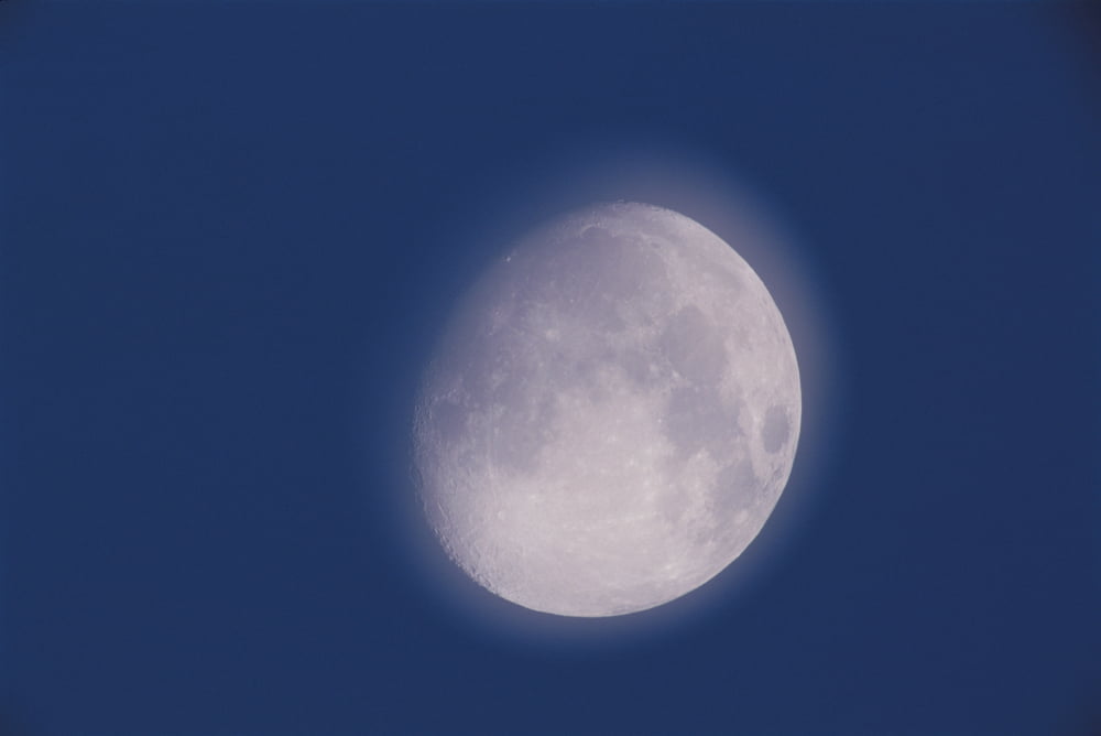 Posterazzi Fv2128 David Nunuk Moon Waxing Gibbous Day 12 Canvas Art - David Nunuk Design Pics (34 x 22)