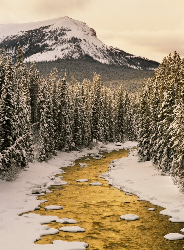 Posterazzi Fv5200 Natural Moments Photography Maligne River In Winter Jasper National Park Alberta Canvas Art - Darwin Wiggett Design Pics (24 x 32)