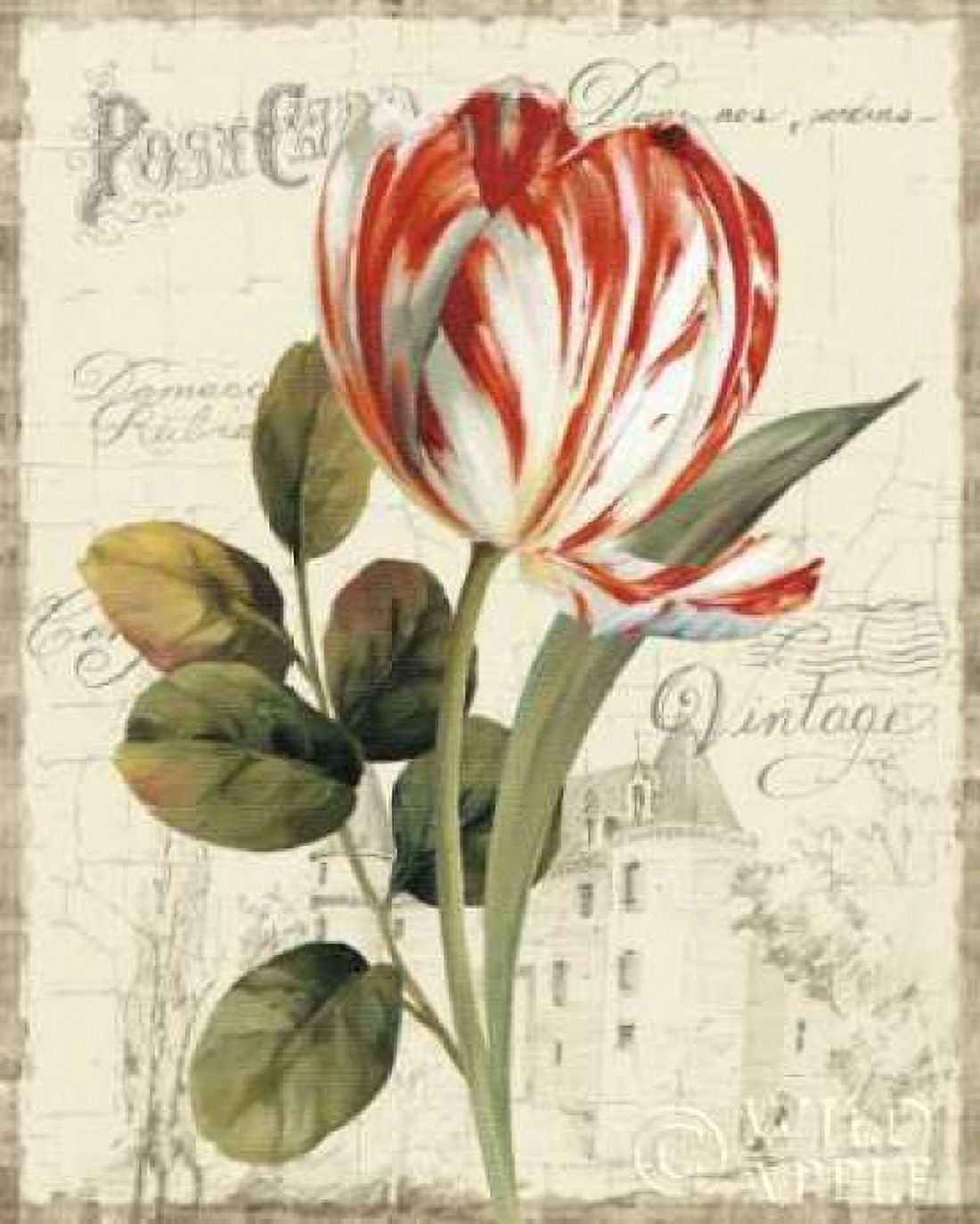 Posterazzi Garden View II - Red Tulip Canvas Art - Lisa Audit (24 x 30)
