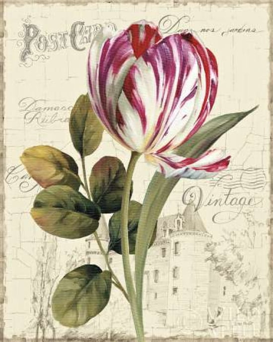 Posterazzi Garden View II - Tulip Canvas Art - Lisa Audit (24 x 30)