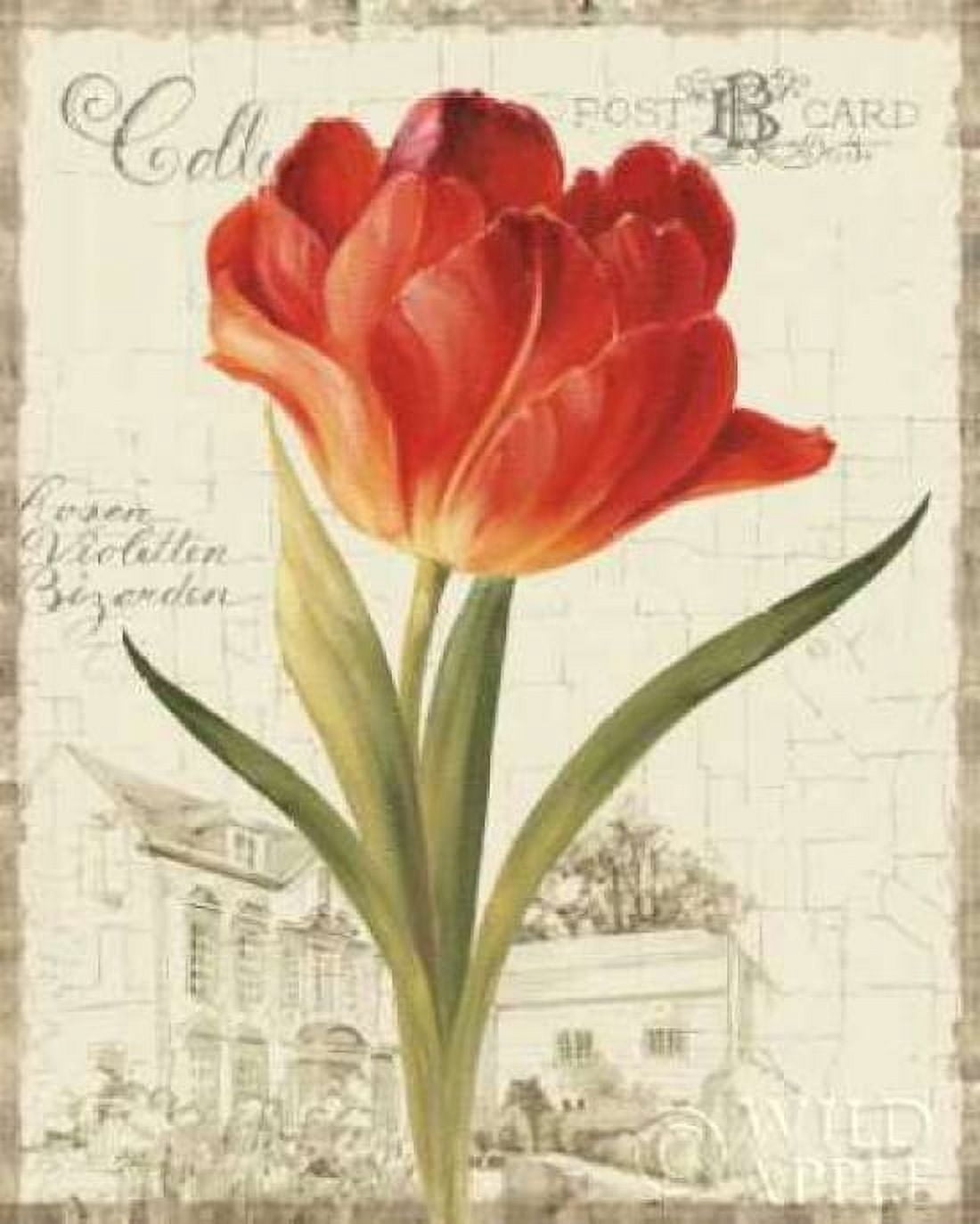 Posterazzi Garden View III - Red Tulip Canvas Art - Lisa Audit (24 x 30)