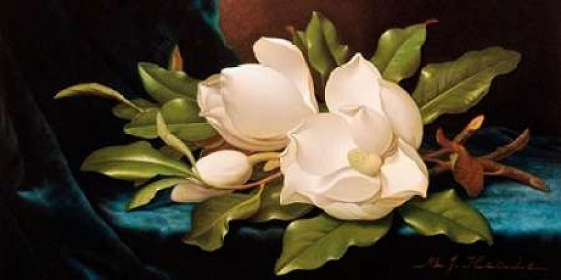 Posterazzi Giant Magnolias on Blue Cloth Canvas Art - Martin Johnson Heade (10 x 20)