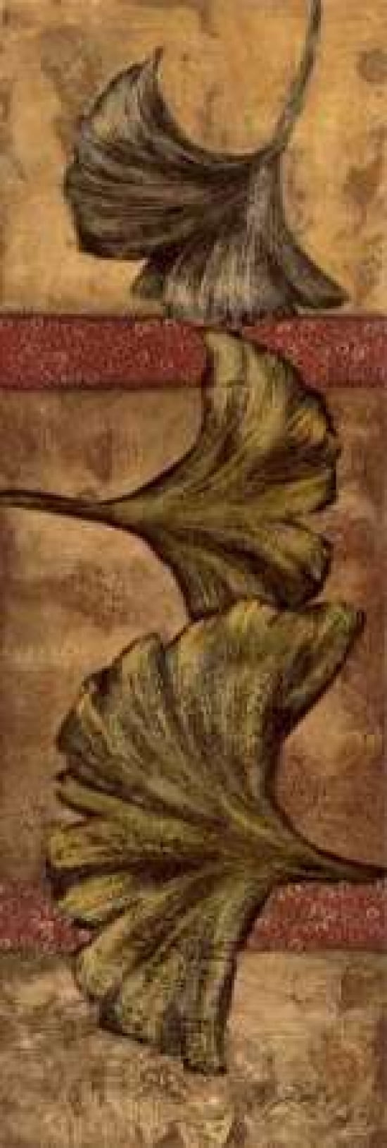 Posterazzi Ginkgo II Canvas Art - John Kime (12 x 36)
