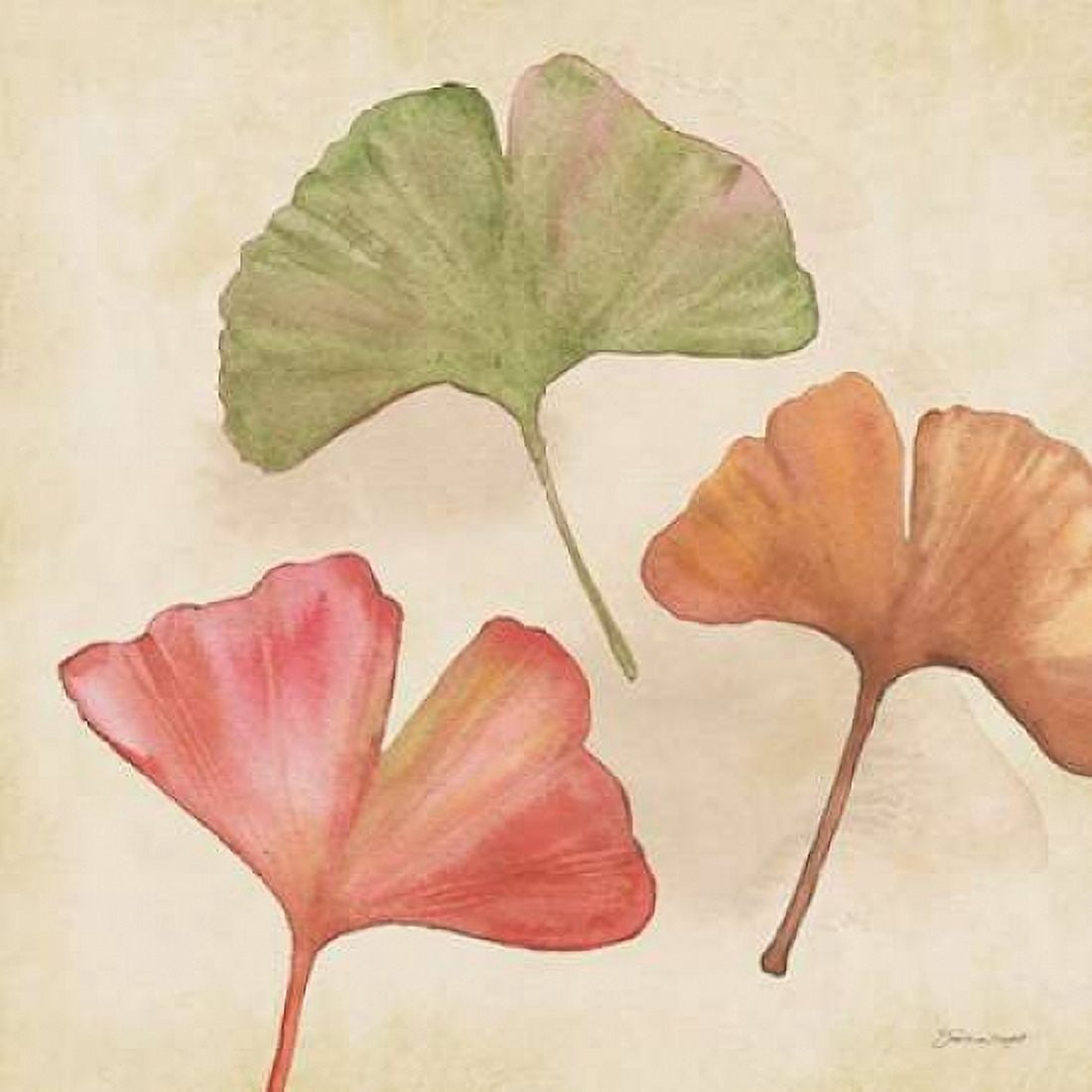 Posterazzi Ginkgos In Fall Canvas Art - Stephanie Marrott (24 x 24)