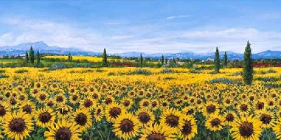 Posterazzi Girasoli Canvas Art - Tebo Marzari (10 x 20)