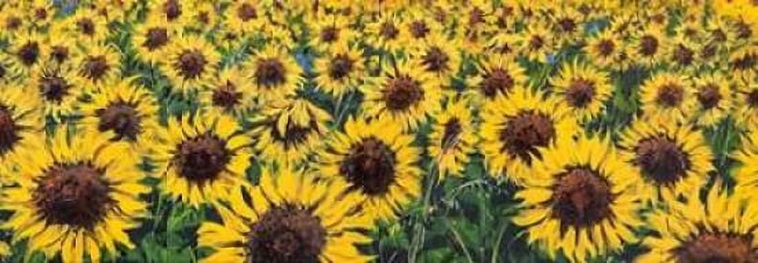 Posterazzi Girasoli Canvas Art - Tebo Marzari (10 x 20)