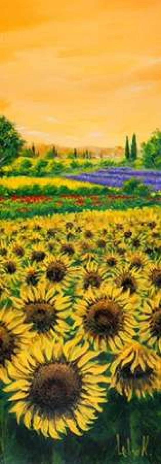 Posterazzi Girasoli e lavanda Canvas Art - Tebo Marzari (24 x 48)