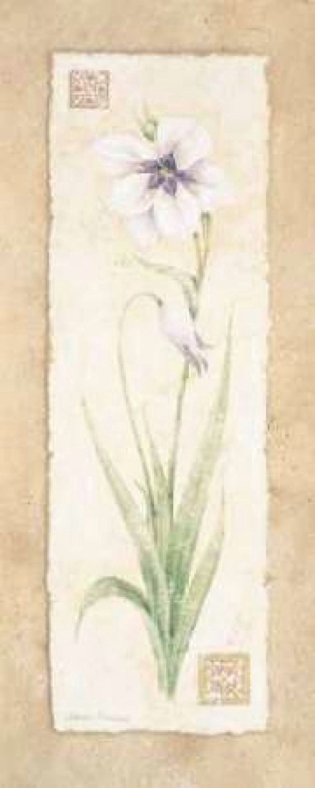 Posterazzi Gladiola Canvas Art - Pamela Gladding (24 x 48)