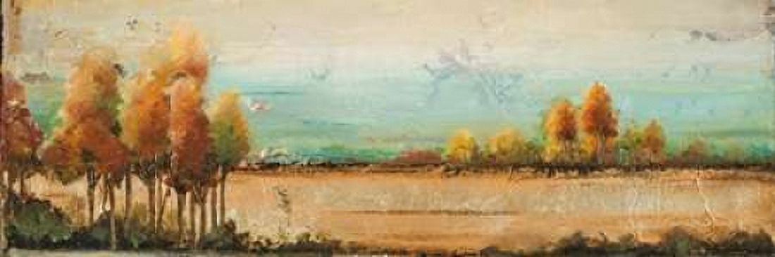 Posterazzi Gold River II Canvas Art - Patricia Pinto (12 x 36)