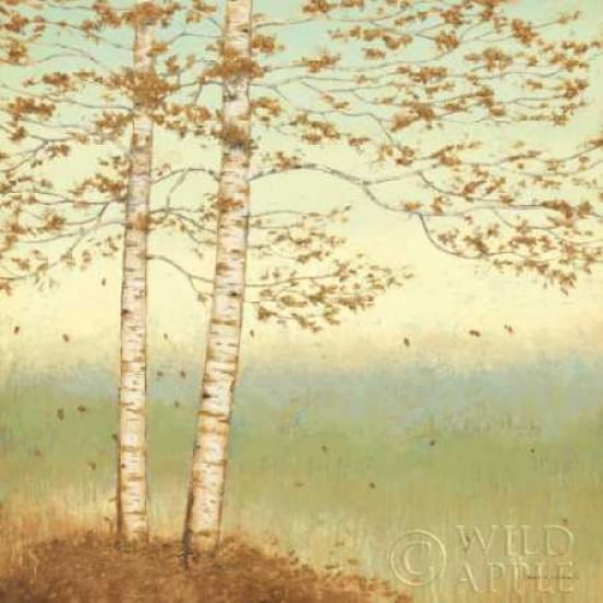 Posterazzi Golden Birch I with Blue Sky Canvas Art - James Wiens (24 x 24)