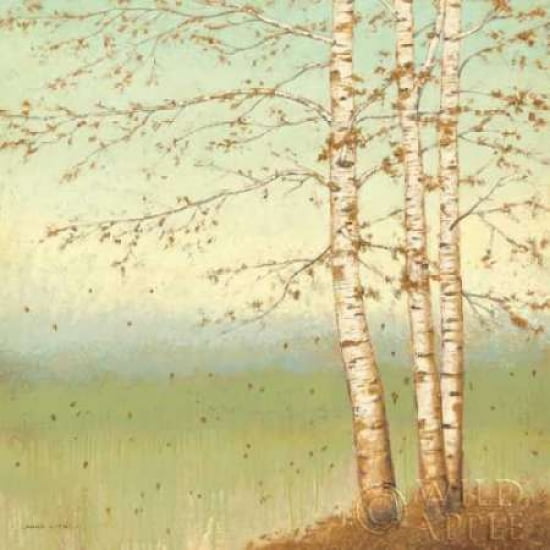Posterazzi Golden Birch II with Blue Sky Canvas Art - James Wiens (24 x 24)
