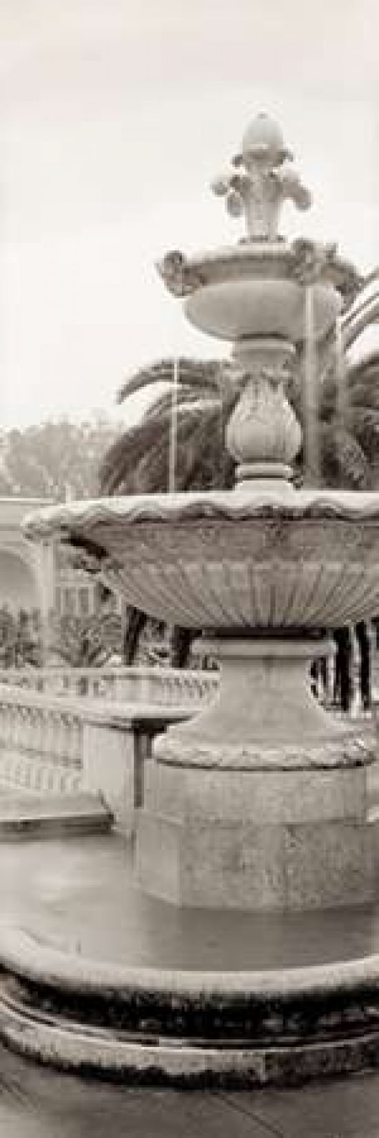 Posterazzi Golden Gate Park Pano - 1 Canvas Art - Alan Blaustein (8 x 24)