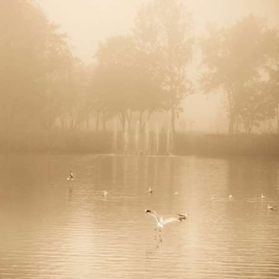 Posterazzi Golden Lake in Fog Canvas Art - Joanna Pechmann (24 x 24)