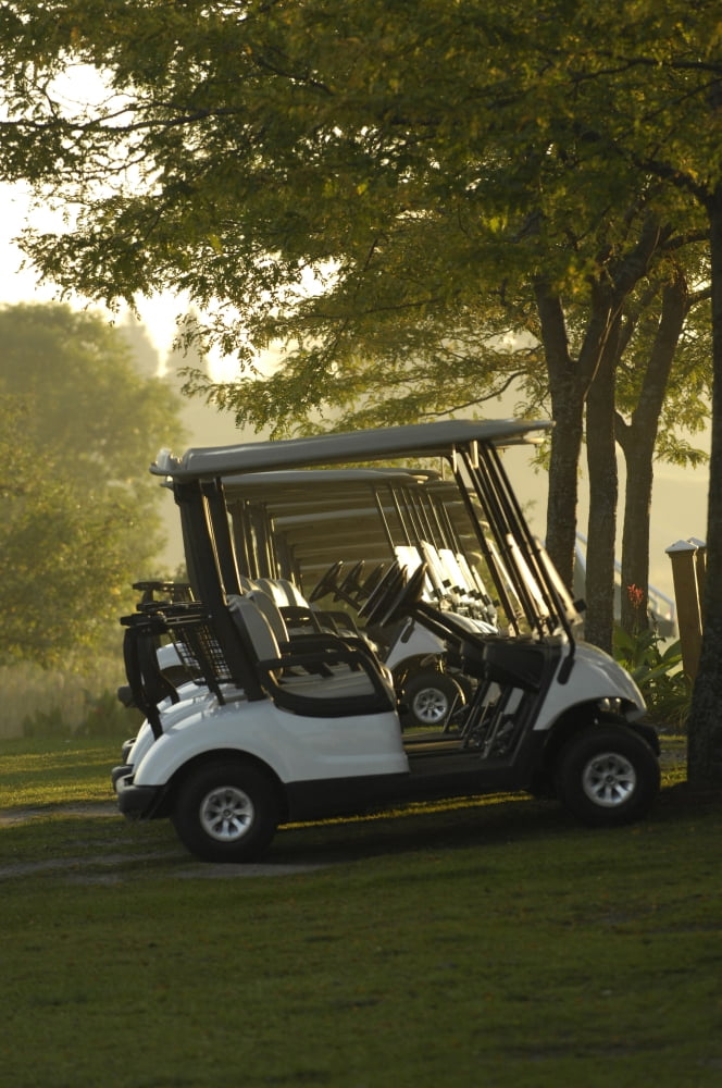 Posterazzi Golf Carts In Early Morning At A Golf Club Newmarket Ontario Canvas Art - Brian Summers Design Pics (22 x 34)